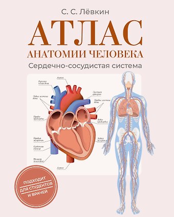 Лёвкин Сергей Сергеевич Атлас анатомии человека. Сердечно-сосудистая система