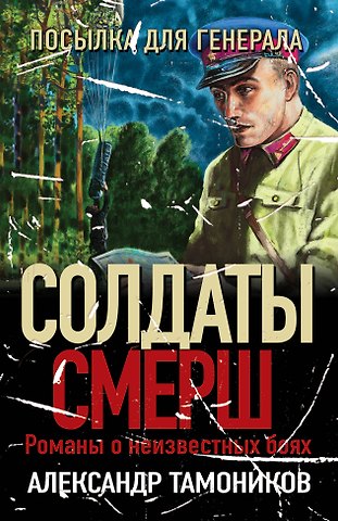 Александр Александрович Тамоников Посылка для генерала