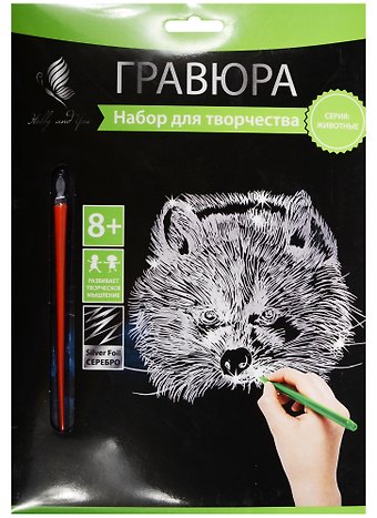 Набор д/творч. Гравюра серебро Енот (HY340001129g) (18х24 см)(8+) (Hobby and you)