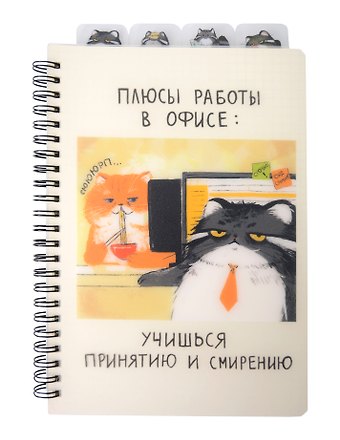 Тетрадь 80л кл. Манул Манулыч гребень, прозр.пластик, полноцвет.печать, разделители, вырубка, скр.углы