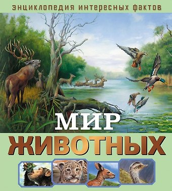 Илона Баголи Мир животных