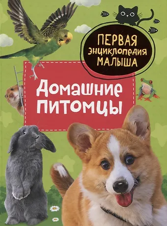 Лариса Александровна Попова Домашние питомцы