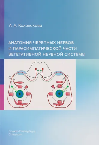 Анна Андреевна Колоколова Анатомия черепных нервов и парасимпатической части вегетативной нервной системы