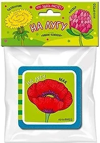 Елена Николаевна Куликова Мини-книжки ЭВА. Что здесь растёт? На лугу