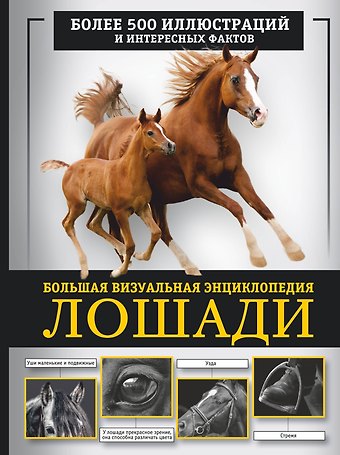 Анна Артуровна Спектор Лошади. Большая визуальная энциклопедия