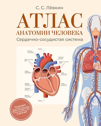 Лёвкин Сергей Сергеевич Атлас анатомии человека. Сердечно-сосудистая система