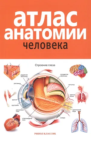 В.Б. Марысаев Атлас анатомии человека. 2-е издание, дополненное и переработанное
