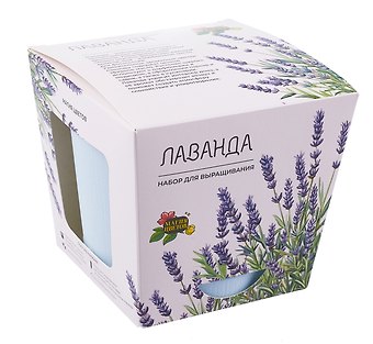 Набор для выращивания растений Магия Цветов, Лаванда