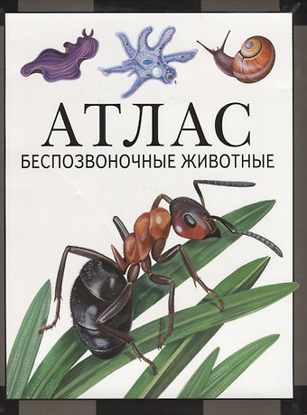 Виктор Рафаэльевич Дольник, Михаил Алексеевич Козлов Атлас. Беспозвоночные животные