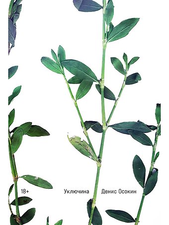 Денис Осокин Уключина