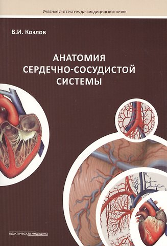 Валентин Иванович Козлов Анатомия сердечно-сосудистой системы: учебное пособие для студентов медицинских вузов