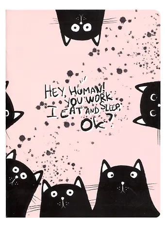 Тетрадь в клетку Be Smart, Hey human. Коты, 48 листов