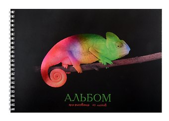 Альбом для рисования Listoff, Хамелеон, А4, 40 листов, на гребне