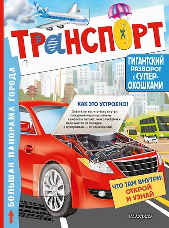 Валентина Геннадьевна Дмитриева Транспорт