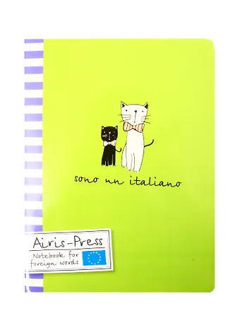 Тетрадь для записи иностранных слов. (Мистер Кот)