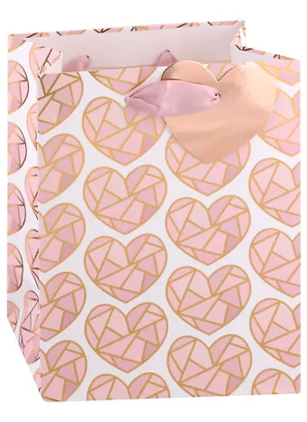 Пакет А5 23*18*10 Shining hearts жен., бум.мат.ламинат