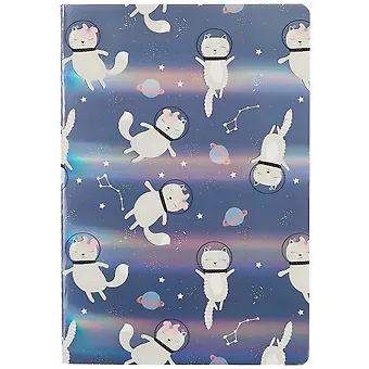 Тетрадь в клетку Хансибэг, Astro cats, 32 листа