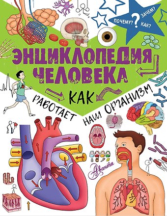 Джон Фарндон ПочемуЗачемКак? Энциклопедия человека: как работает наш организм