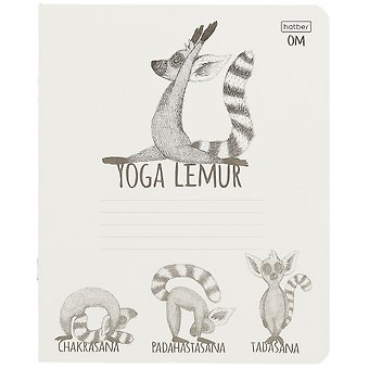 Тетрадь в клетку Hatber, Animals Yoga, 24 листа, в ассортименте