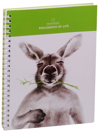 Тетрадь в клетку Kangaroo, 80 листов