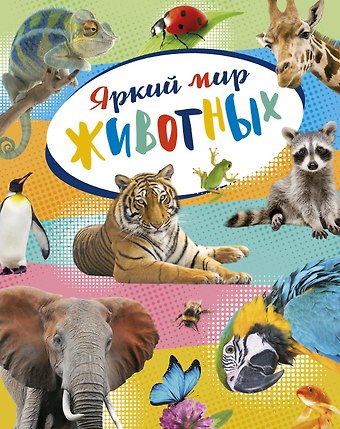 Кристин Балле Яркий мир животных
