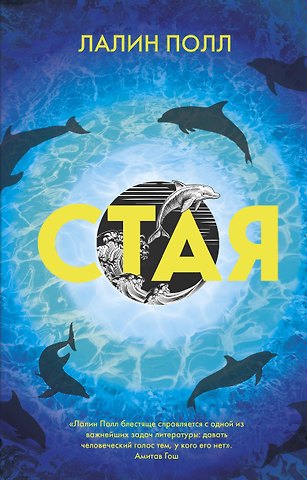 Лалин Полл Стая
