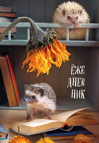 Ежедневник недат. А5 72л Ёжедневник. Блокнот для людей и ежей (книги)