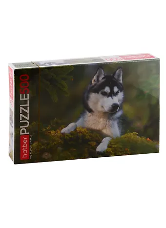 Пазл HATBER 500 эл. 460х340мм.Любимец