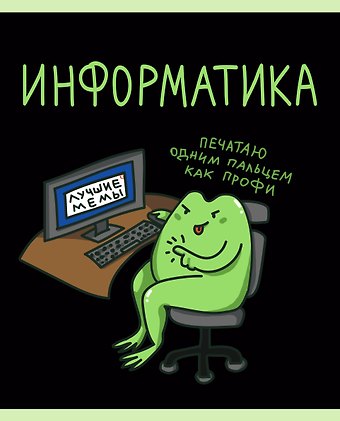 Тетрадь 48 листов в клетку Жабка. Информатика