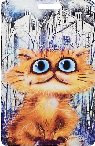 Чехол для карточек Cat in the City (В своем городе)