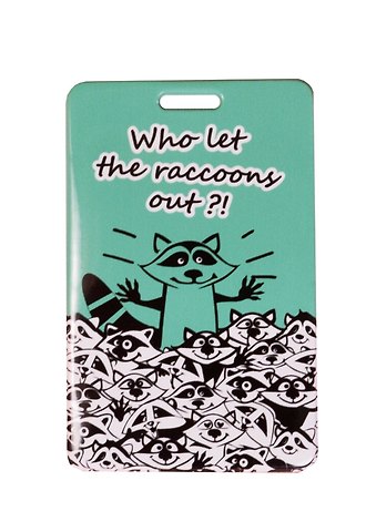 Чехол для карточек Who let the Raccoons out ДК2017-094