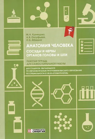 Ольга Вячеславовна Абанина, Анна Викторовна Олсуфьева, Мария Александровна Кузнецова Анатомия человека. Сосуды и нервы органов головы и шеи. Рабочая тетрадь для самостоятельной работы