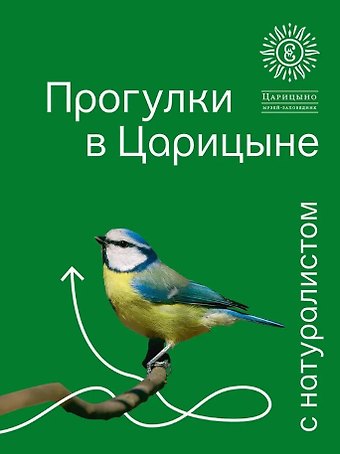 Светлана Геннадьевна Калинина, Марина Шайкина, Татьяна Смирнова Прогулки в Царицыне с натуралистом