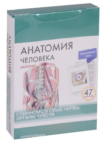 Владимир Николаевич Николенко, М.О. Тимофеева, Михаил Романович Сапин Анатомия человека. Спинномозговые нервы. Органы чувств (47 карточек)