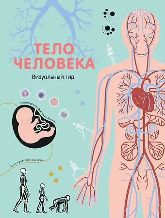 Кристина Перабони Тело человека. Визуальный гид