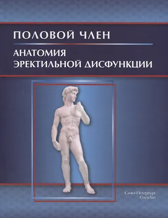 Иван Васильевич Гайворонский Половой член.Анатомия эректильной дисфункции