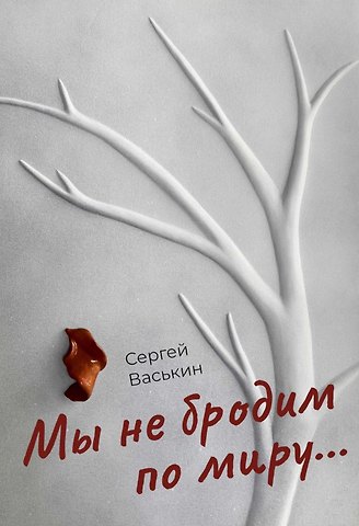 Сергей Васькин Мы не бродим по миру...