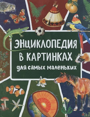 Лариса Владимировна Клюшник Энциклопедия в картинках для самых маленьких
