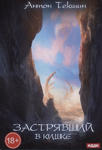 Антон Викторович Текшин Застрявший. Книга 3. Застрявший в Кишке