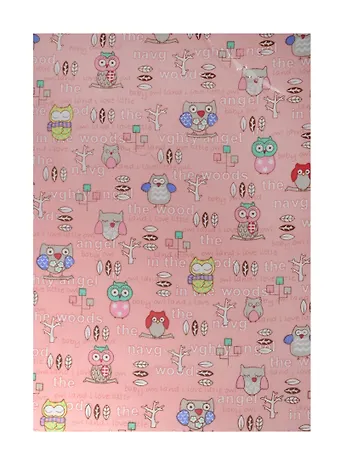 Тканевый лист на клеевой основе А4 Совы, в ассорти (11-00822-PA4003)