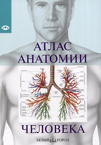 Атлас анатомии человека, изд 2025