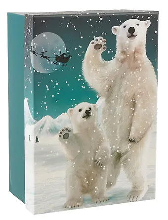 Коробка подарочная Мишки НГ, 21*14*8.5, картон