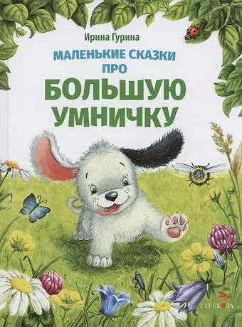 Ирина Валерьевна Гурина Маленькие сказки про большую умничку