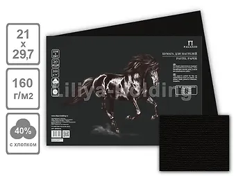Бумага для пастели 210*297мм Палаццо Dark night ( тёмная ночь ) 160г
