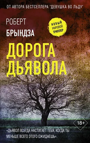 Роберт Брындза Дорога дьявола