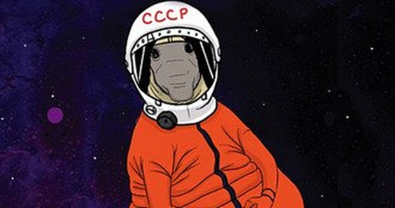 К стене!
