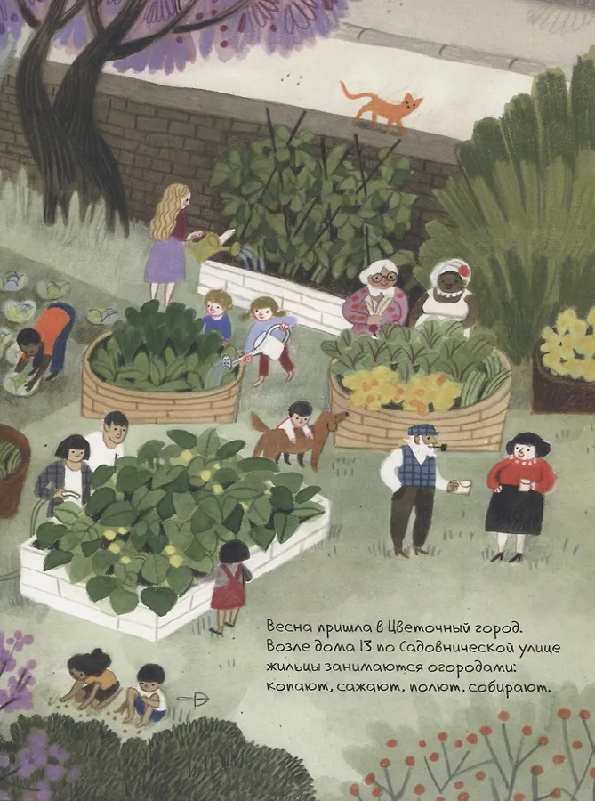 Рецепты с балконов, крыш и огородов - Изображение 2