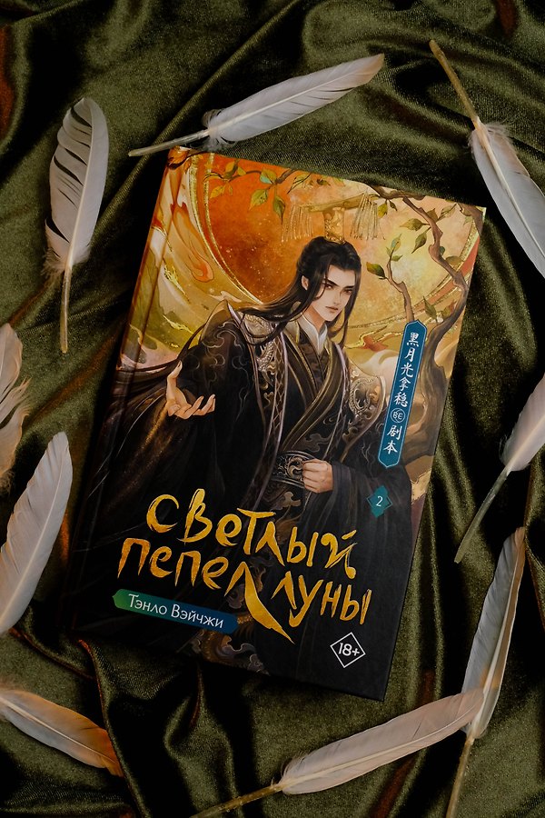 Светлый пепел луны. Книга 2. Новелла - Изображение 6