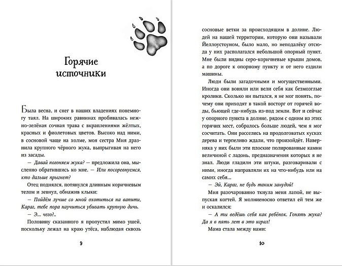 Дети леса. Тайна Холли (#3) - Изображение 9