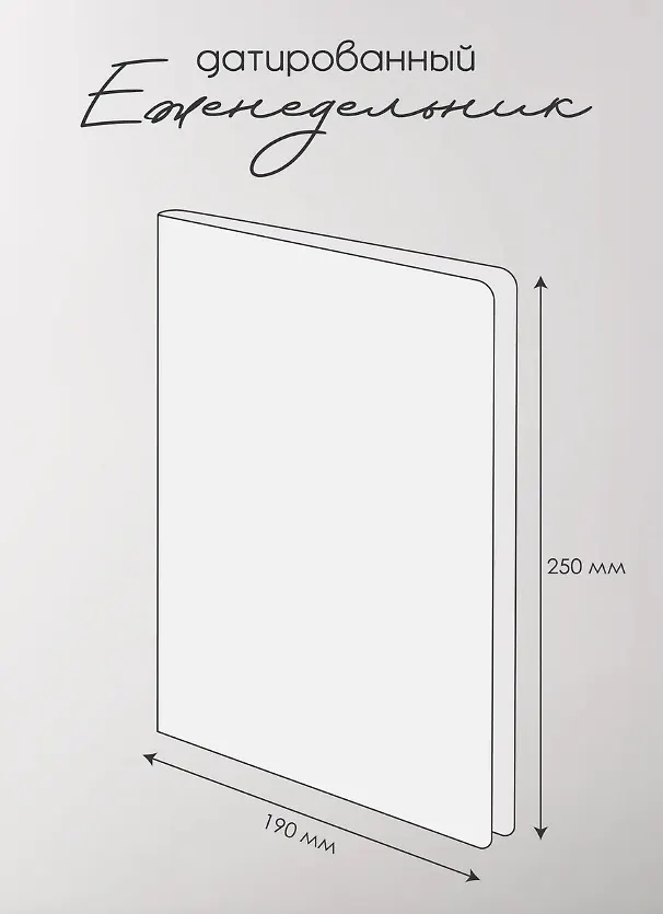 Еженедельник датированный 2026 год, А5, 88 листов, 190x250 мм "Shadow", серый - Изображение 3